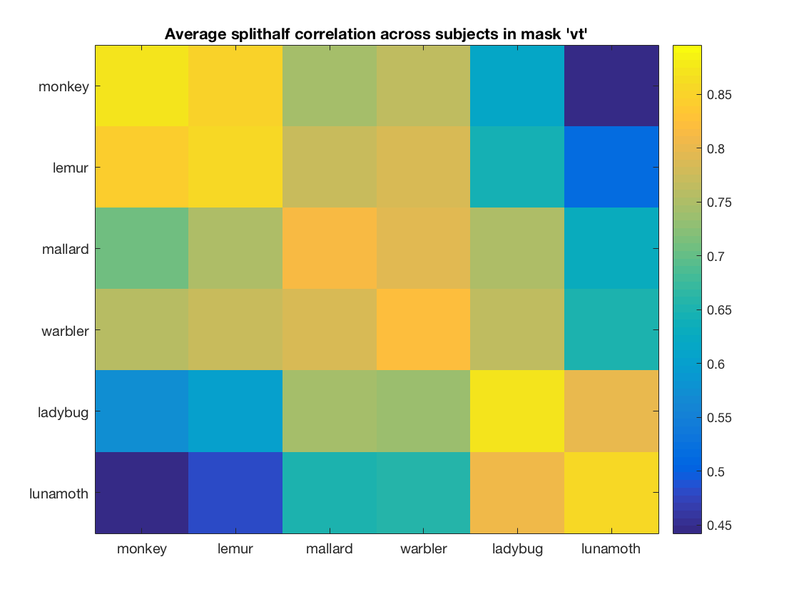 gallery_run_splithalf_correlations_5